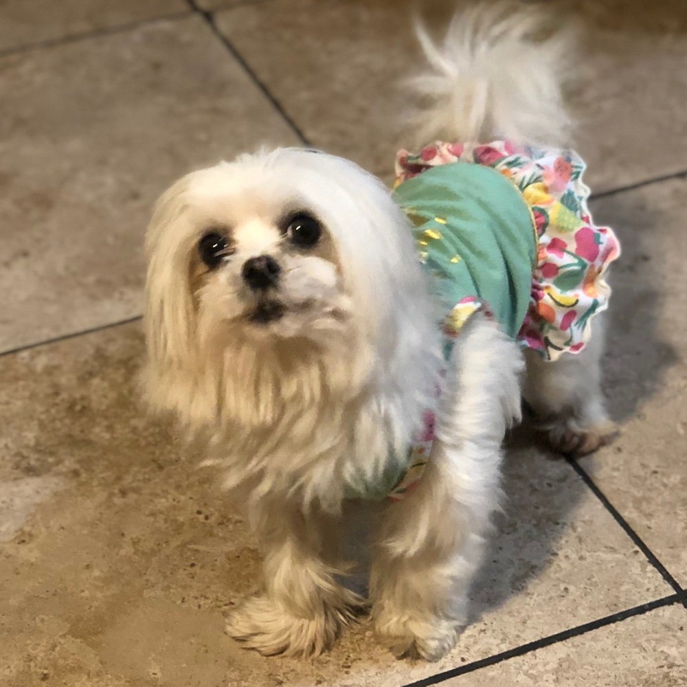 Meet your Posher, Astrid